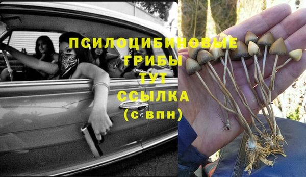 бошки Богородск