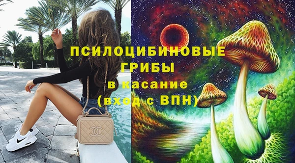 ГАЛЛЮЦИНОГЕННЫЕ ГРИБЫ Беломорск