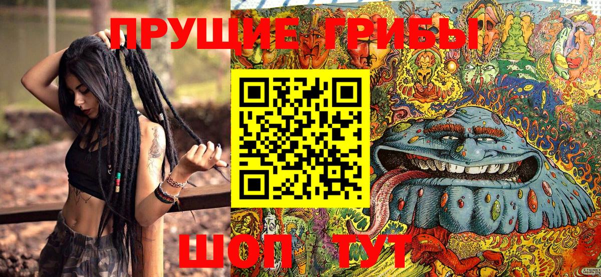 Армавир  Псилоцибиновые грибы прущие грибы  купить закладку  Галлюциногенные грибы Psilocybe  Вход с VPN 